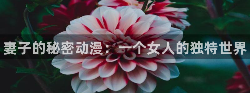 钢铁魔女一至四集樱花动漫：妻子的秘密动漫：一个女人的独特世界