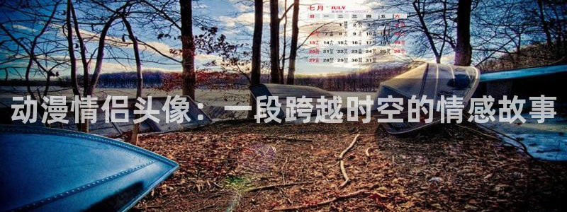 overflower翻译樱花动漫全集：动漫情侣头像：一段跨越时空的情感故事