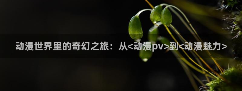 masterpiece樱花动漫最新版本：动漫世界里的奇幻之旅：从<动漫pv>到<动漫魅力>